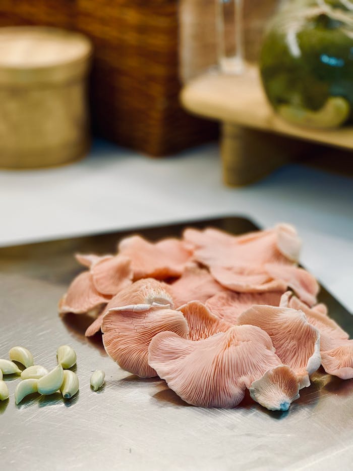 Delicate pink oyster mushrooms laid out on a kitchen surface, ideal for cooking inspiration.